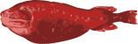 图像：软体鲸鱼